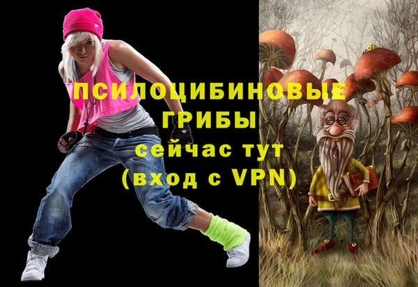 spice Белокуриха
