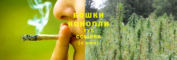 прущие крисы Белоозёрский