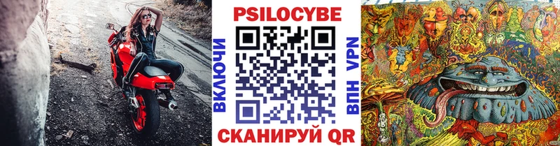 цены наркотик Славгород Галлюциногенные грибы Psilocybe